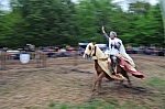 DSC_0833.jpg