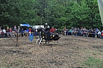 DSC_0874.jpg