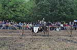 DSC_0876.jpg