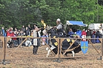 DSC_0882.jpg
