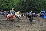 DSC_0903.jpg