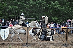 DSC_0905.jpg