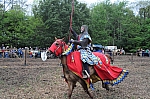 DSC_0917.jpg