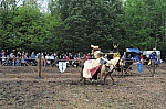 DSC_0940.jpg