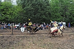 DSC_0942.jpg
