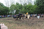 DSC_0944.jpg