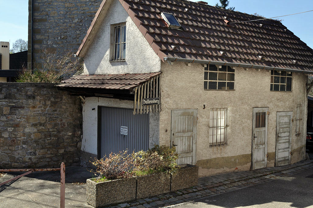 DSC_0202.jpg