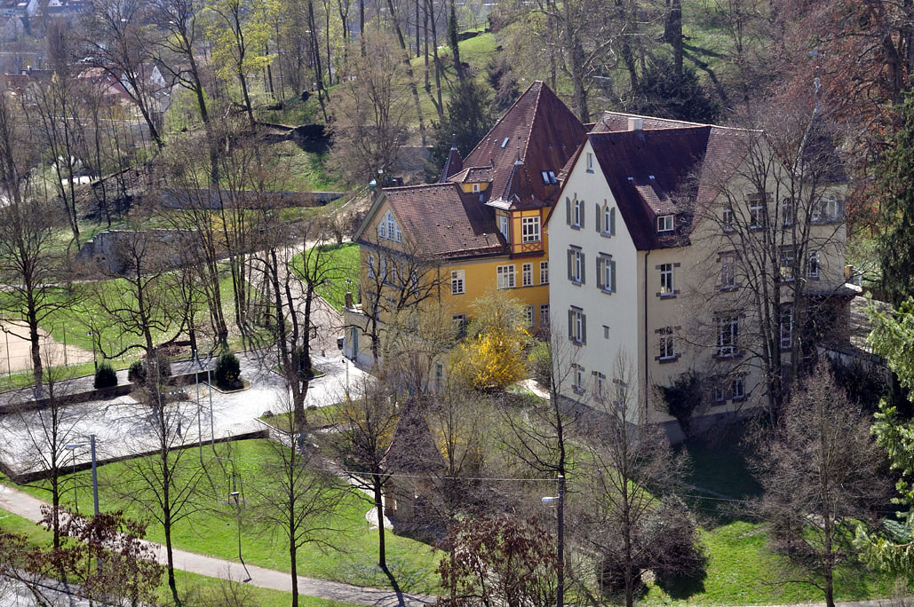 DSC_0220.jpg