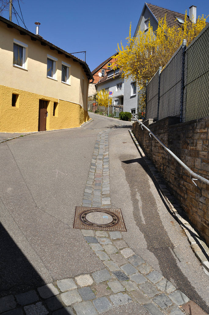 DSC_0227.jpg