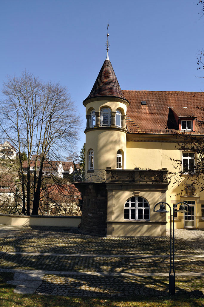DSC_0246.jpg