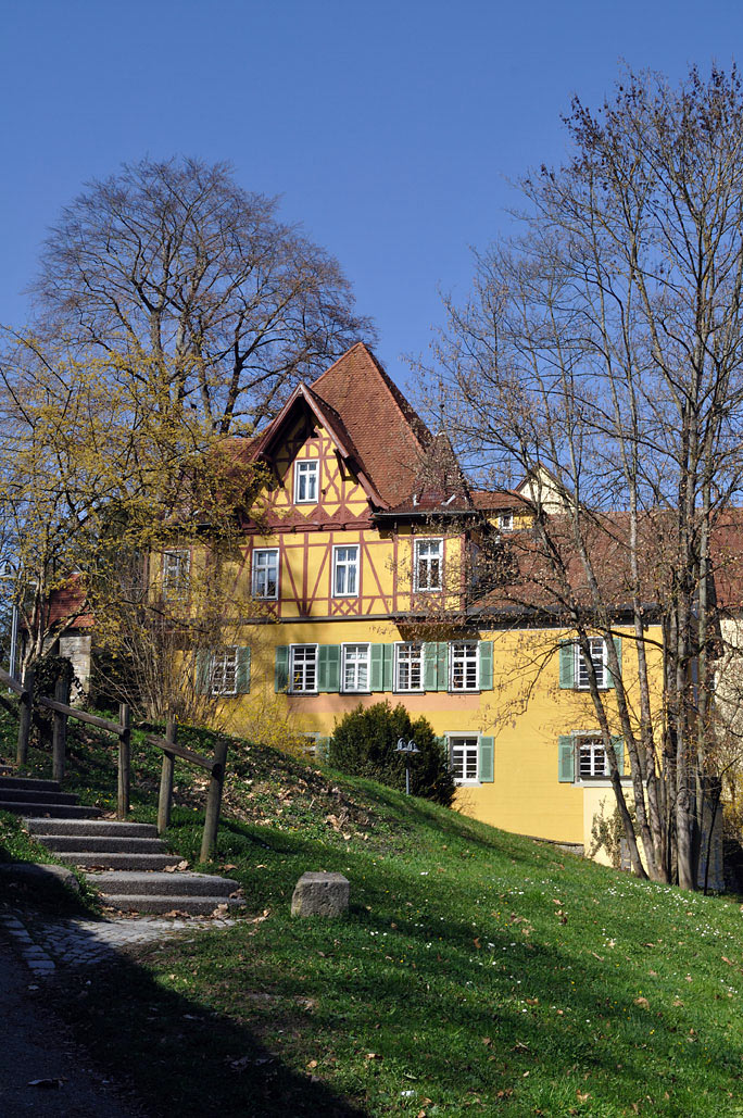 DSC_0256.jpg