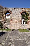 DSC_0203.jpg