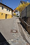 DSC_0227.jpg