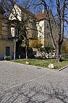 DSC_0229.jpg