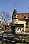 DSC_0246.jpg