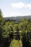 DSC_0502.jpg
