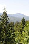DSC_0505.jpg