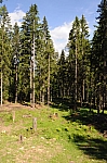 DSC_0509.jpg