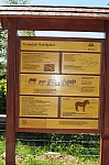 DSC_0510.jpg