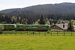 DSC_0513.jpg