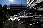DSC_3890.jpg