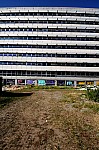DSC_3896.jpg