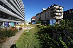 DSC_3926.jpg