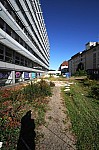 DSC_3931.jpg