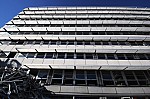 DSC_3941.jpg