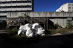 DSC_3960.jpg