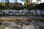 DSC_3981.jpg