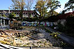 DSC_3990.jpg