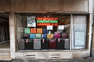 DSC_0481.jpg