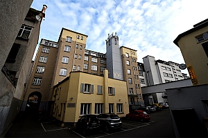 DSC_0501.jpg