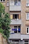 DSC_0031.jpg