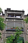 DSC_0038.jpg