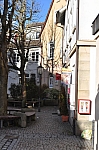 DSC_0959.jpg