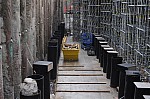 DSC_7564.jpg