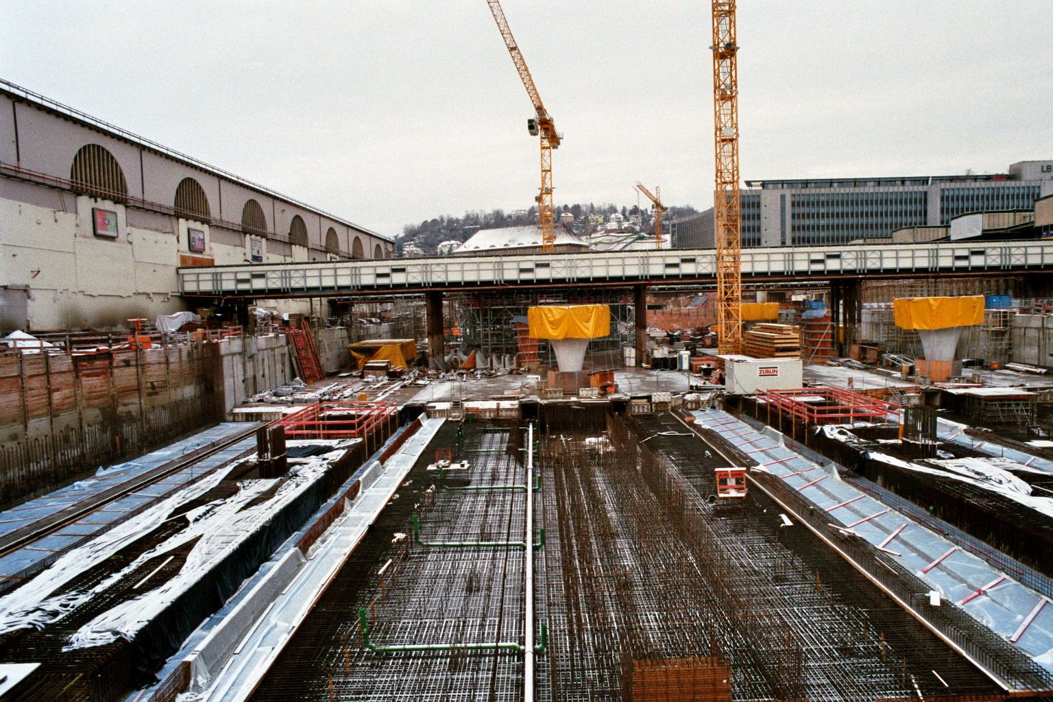 imm000_1A.jpg