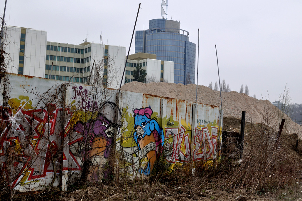DSC_0515.jpg