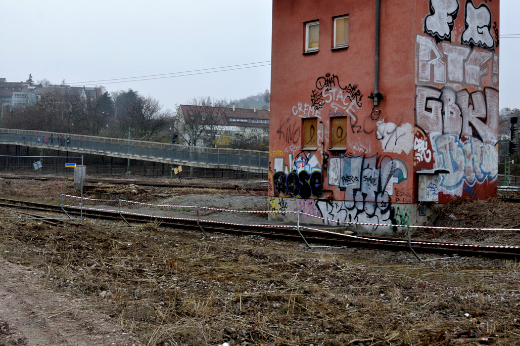 DSC_0519.jpg