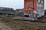 DSC_0519.jpg