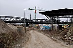 DSC_0520.jpg