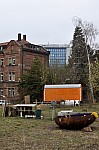 DSC_0523.jpg