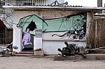 DSC_0532.jpg