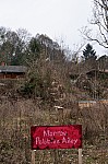 DSC_0538.jpg
