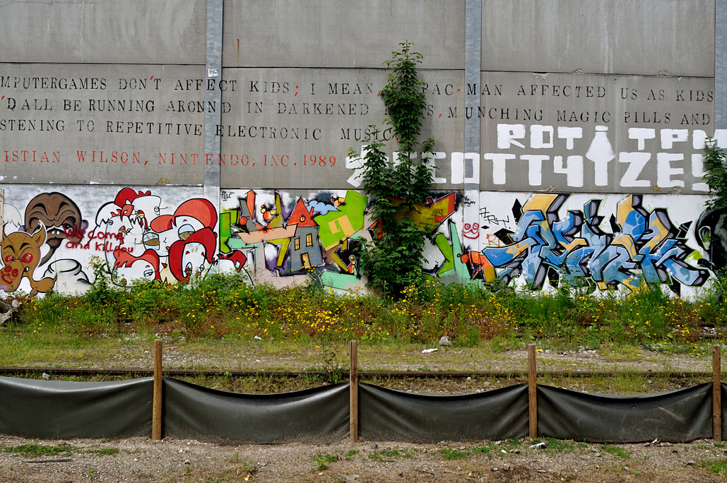 DSC_0038.jpg