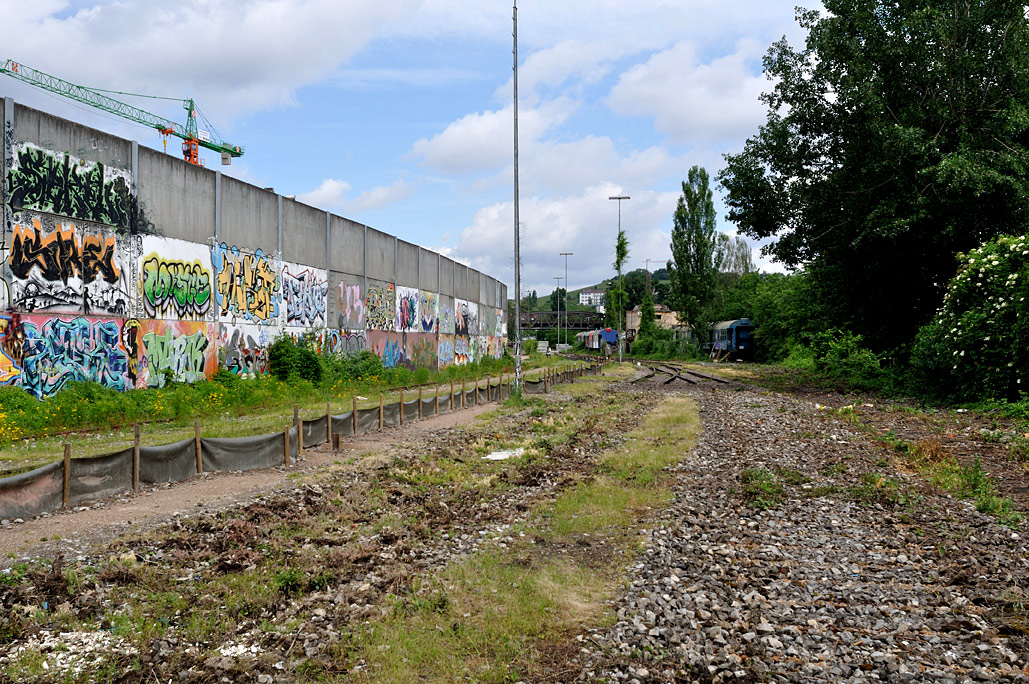 DSC_0039.jpg
