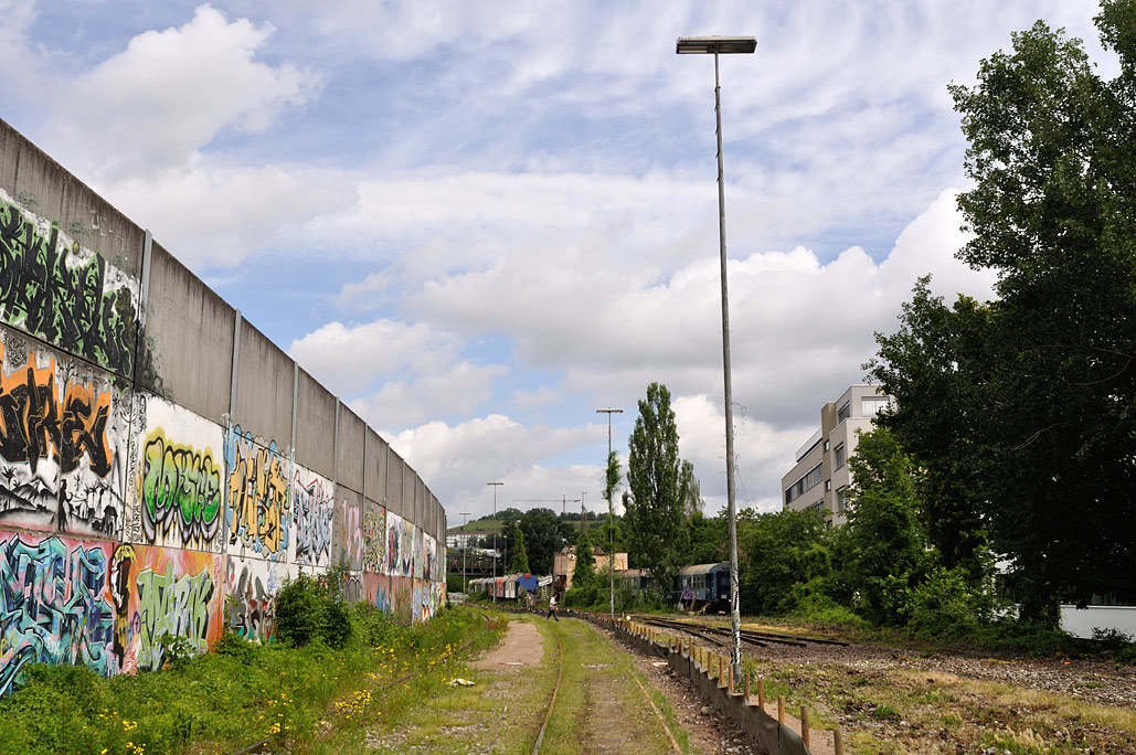 DSC_0046.jpg