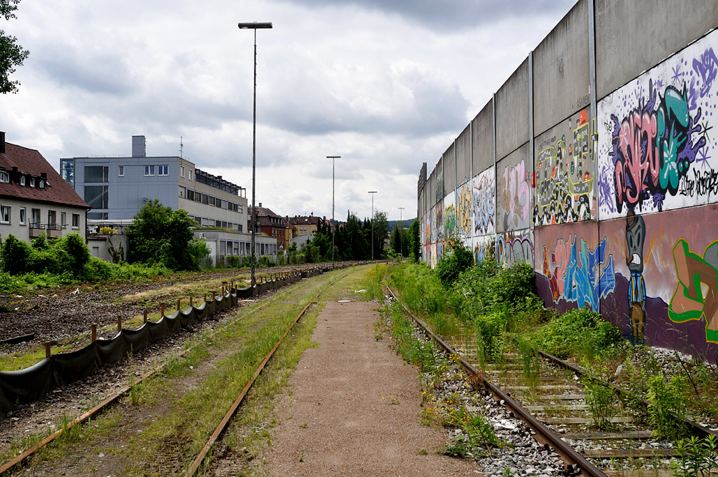 DSC_0054.jpg